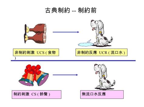 類化作用|古典制約